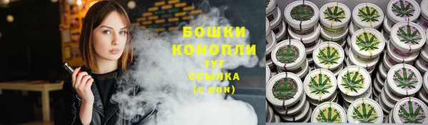 дмт Богородск