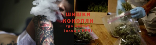 дмт Богородск
