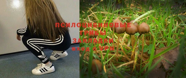 амфетамин Богданович