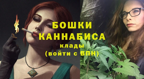 амф Богородицк