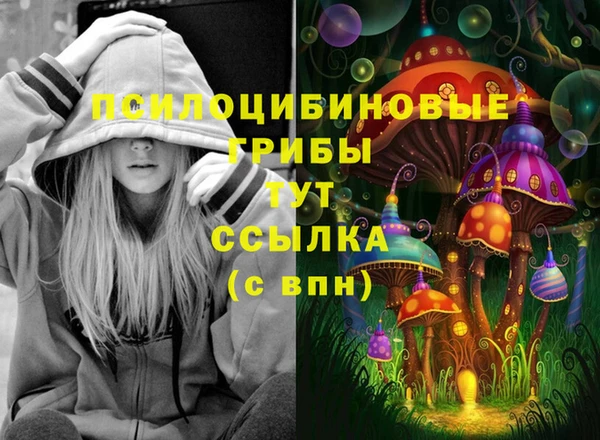 амфетамин Богданович