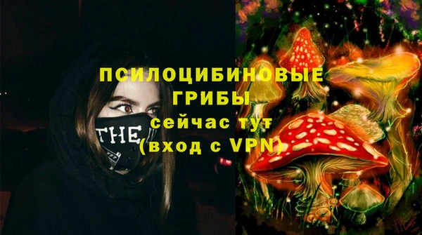 амф Богородицк