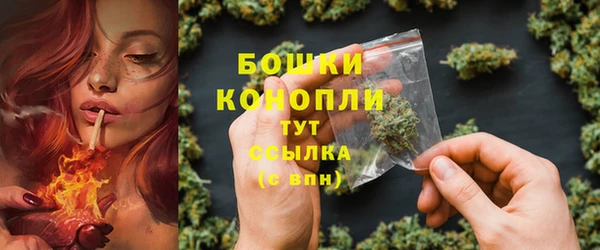 амф Богородицк
