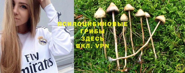 амфетамин Богданович
