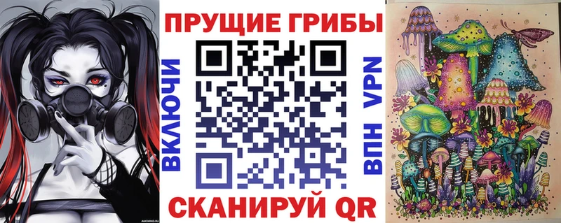 Галлюциногенные грибы Psilocybe наркота Павловск